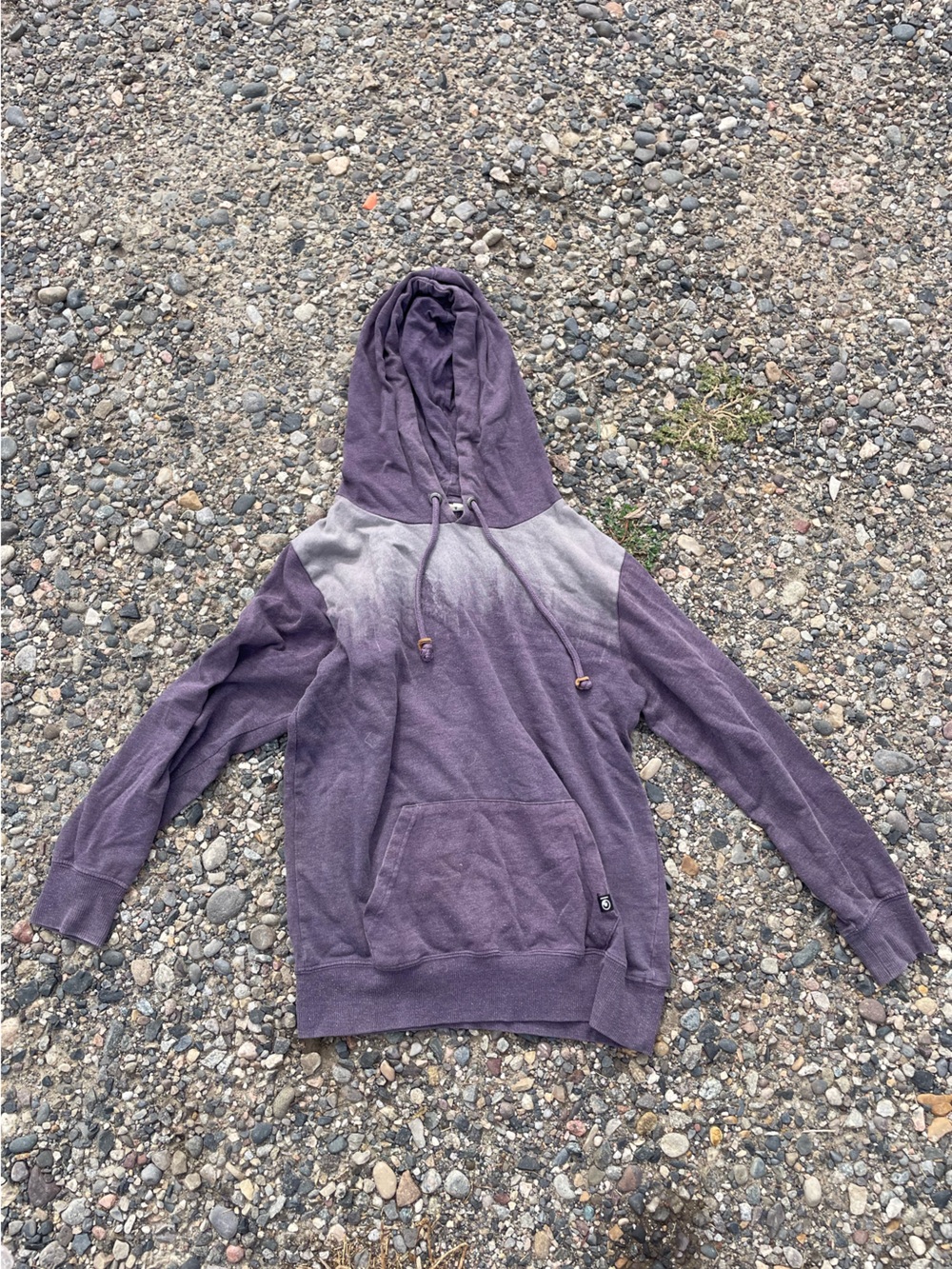 Tentree Purple Hoodie Women’s Small